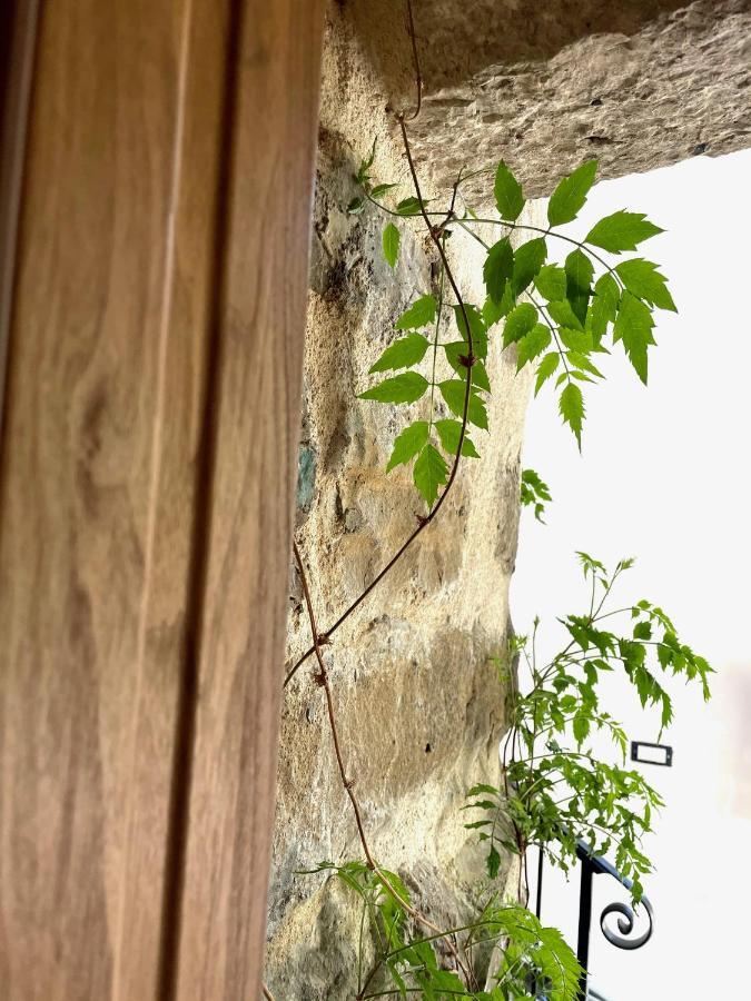 Maison Laurel: Historic Stone Estate With Private Pool Gata